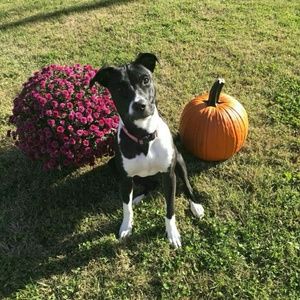 Meet your Posher, Kayleigh